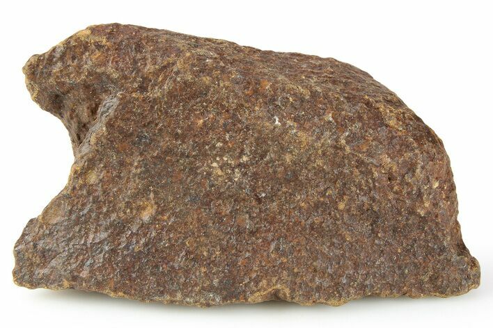 Chondrite Meteorite ( g) - Unclassified NWA #256584